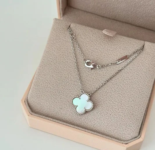 Silver VC Necklace